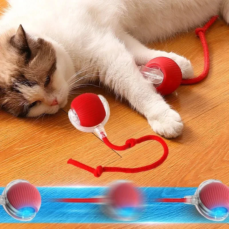 Bola Automática rolante elétrica para gatos recarregável USB